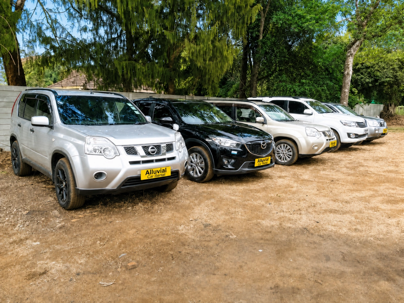 Alluvial Car Rental fleet